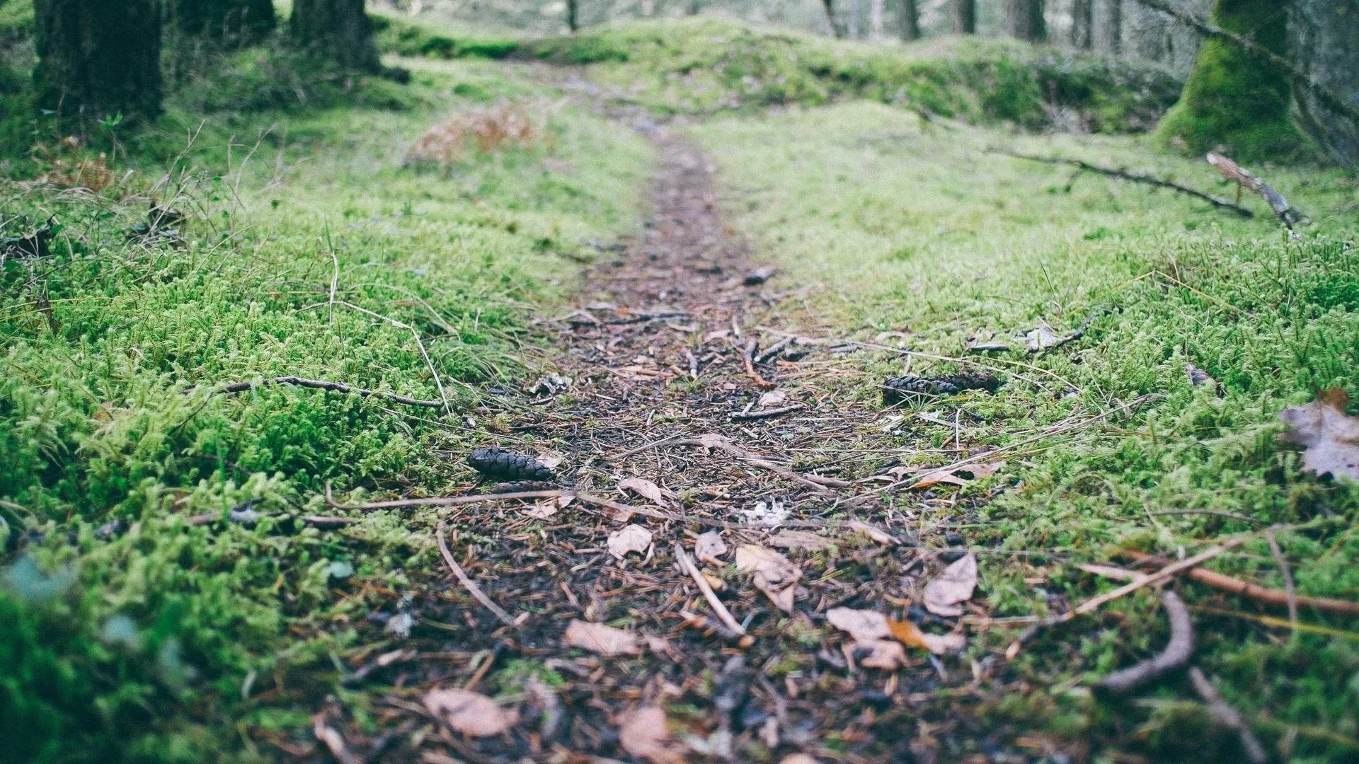 黑料吃瓜APP下载