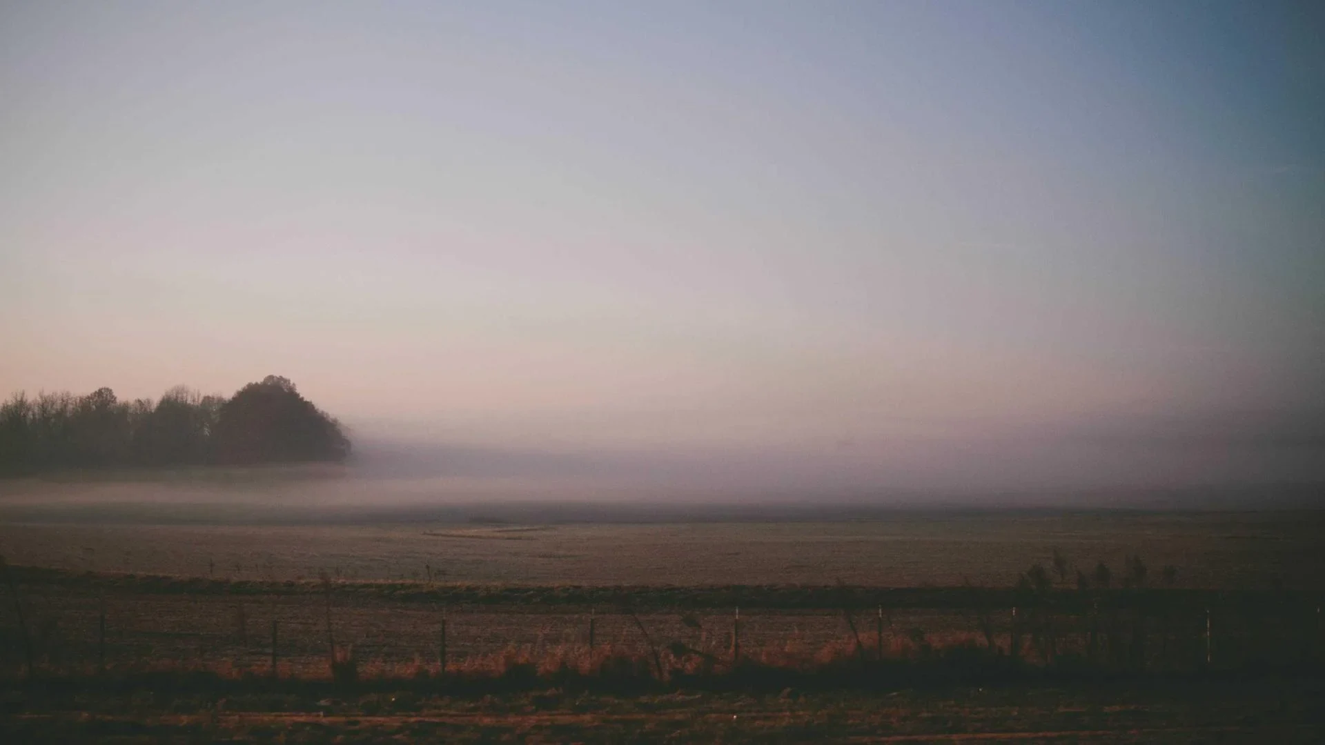 随时随地看爆料